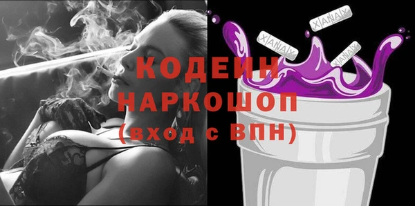 индика Осинники