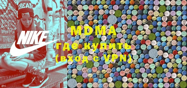 индика Осинники
