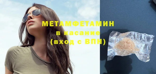 индика Осинники