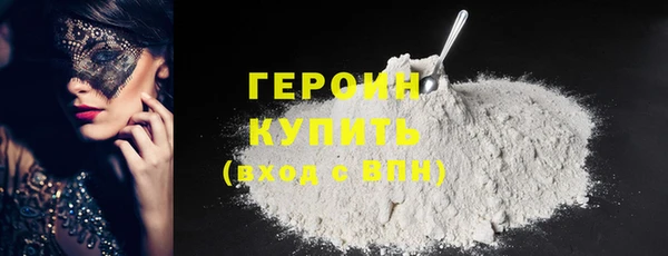 индика Осинники