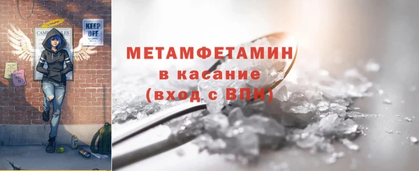 индика Осинники