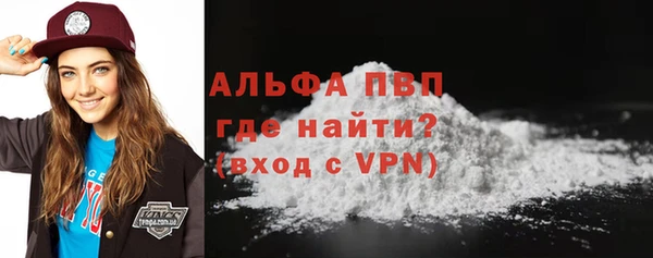 индика Осинники