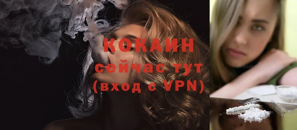 индика Осинники