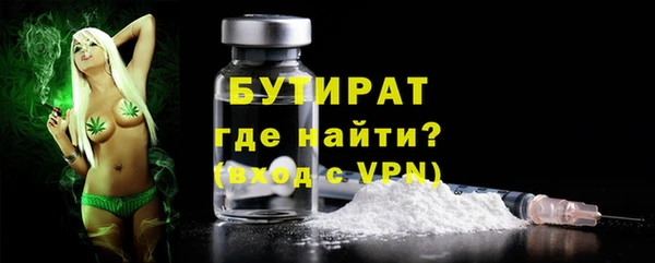 индика Осинники