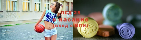индика Осинники