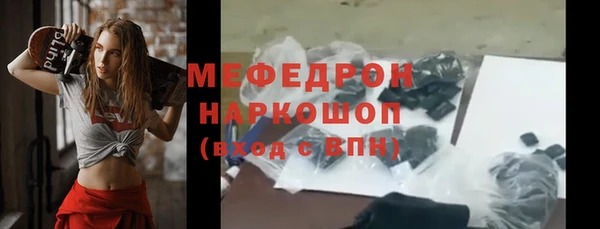 индика Осинники