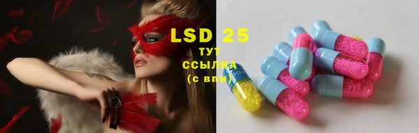 индика Осинники