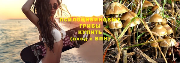 спайс Осташков