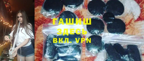 индика Осинники