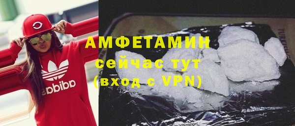индика Осинники