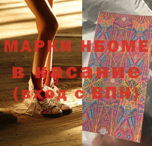 индика Осинники