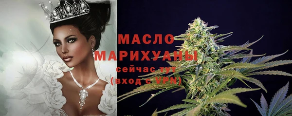 индика Осинники