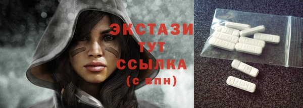индика Осинники