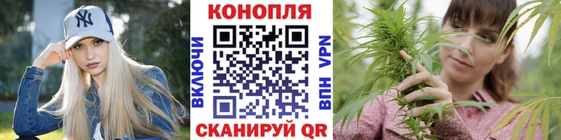 Каннабис семена Райчихинск